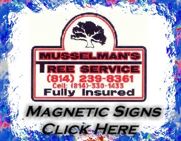 77magnetic.jpg