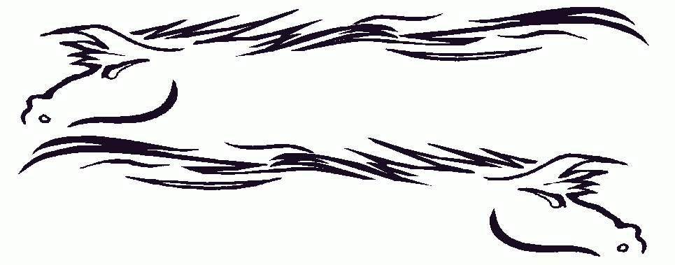 horse.jpg