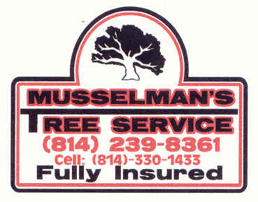 musslemants.jpg
